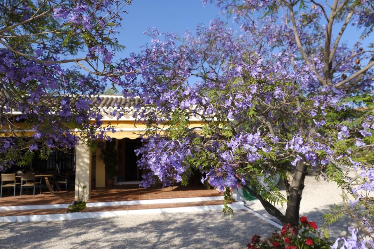 Finca Gordo Riogordo ภายนอก รูปภาพ