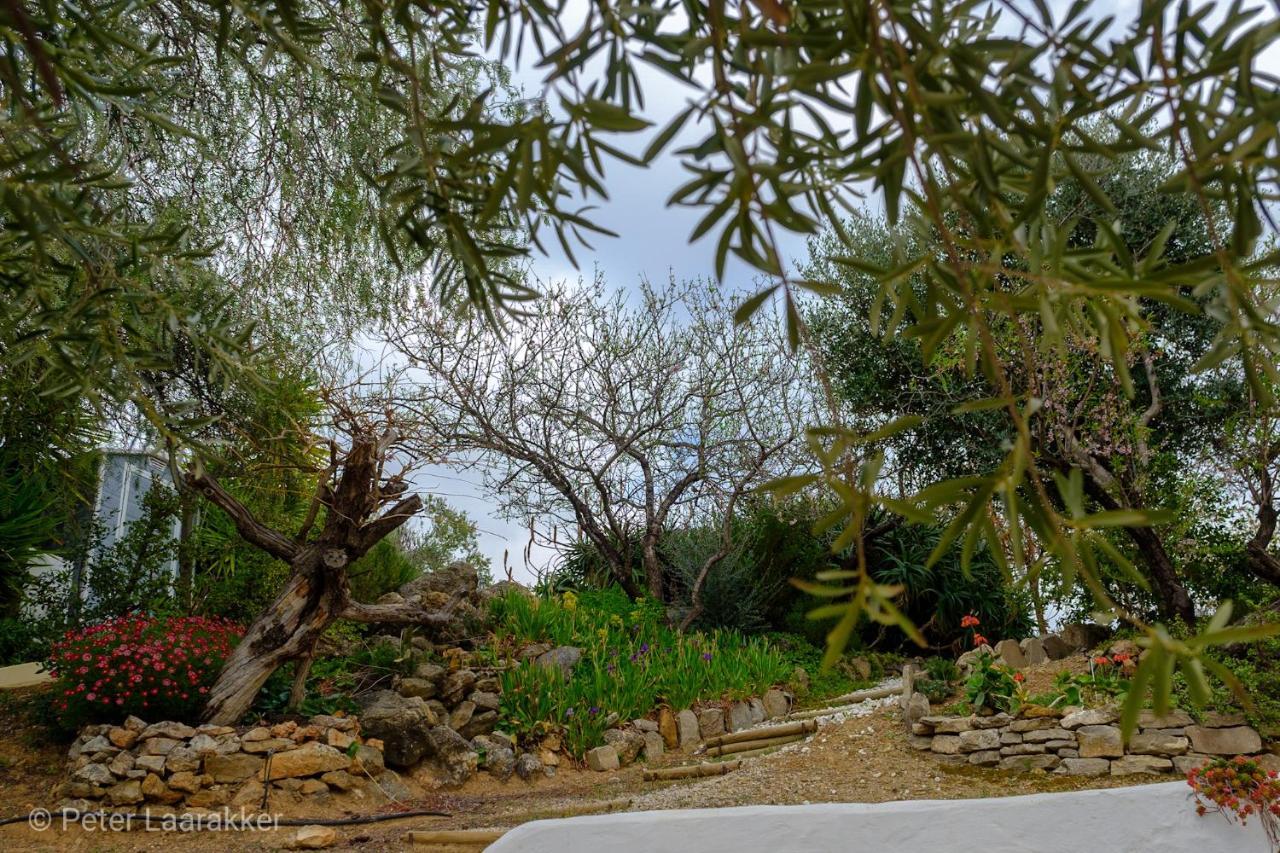 Finca Gordo Riogordo ภายนอก รูปภาพ