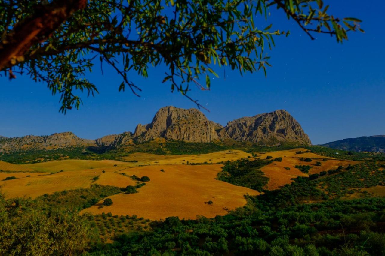 Finca Gordo Riogordo ภายนอก รูปภาพ