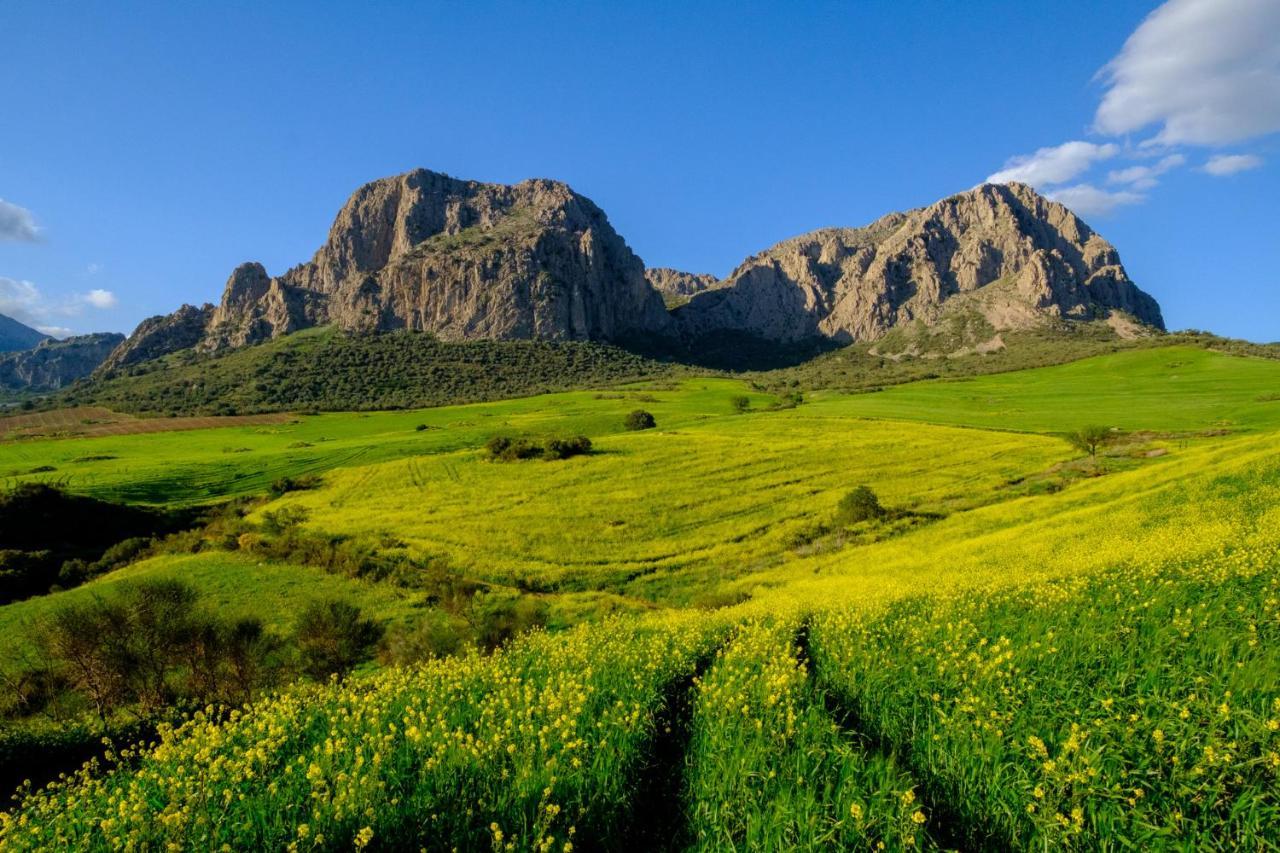 Finca Gordo Riogordo ภายนอก รูปภาพ